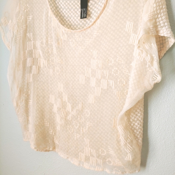 Embroidered Pure Silk Sheer Top - Picture 6 of 11